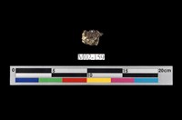 藏品(石榴子石)的圖片